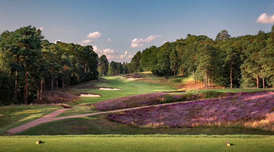 Photo of Saint Georges Hill Golf Club